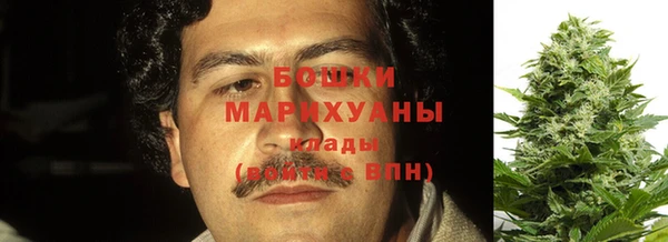 прущая мука Нея