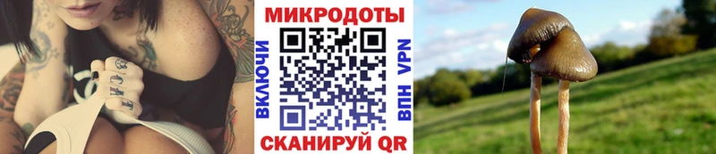 Галлюциногенные грибы Cubensis купить закладку Собинка