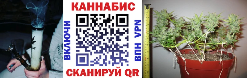 закладки  Собинка  omg зеркало  Бошки марихуана Bruce Banner 
